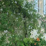 Entire With Swimming Pool Near Aubeterre Apartament