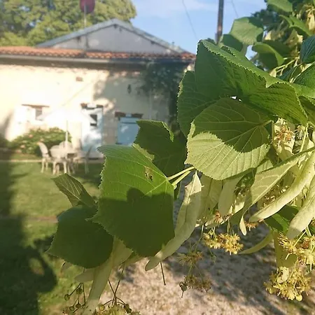 Entire With Swimming Pool Near Aubeterre *