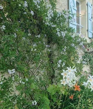 Entire With Swimming Pool Near Aubeterre Lägenhet