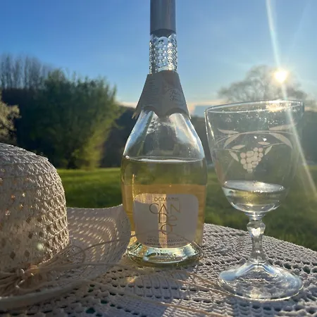 Apartament Entire With Swimming Pool Near Aubeterre Saint-Romain (Charente)