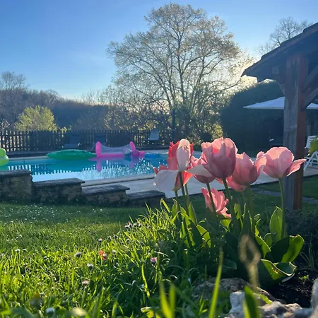 Entire With Swimming Pool Near Aubeterre Apartament