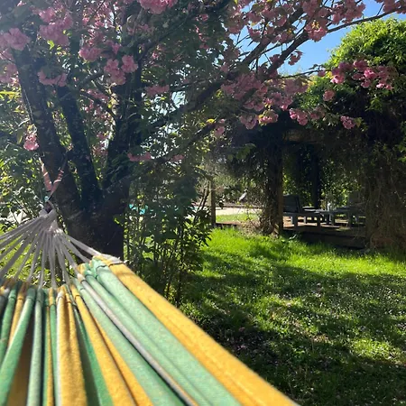 Entire With Swimming Pool Near Aubeterre *