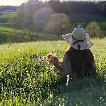 Entire With Swimming Pool Near Aubeterre Lägenhet *