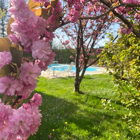 Apartament Entire With Swimming Pool Near Aubeterre Saint-Romain (Charente)