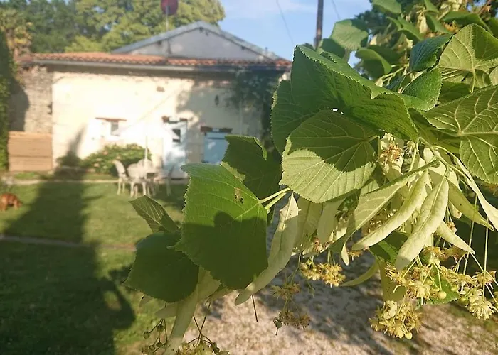 Entire With Swimming Pool Near Aubeterre *